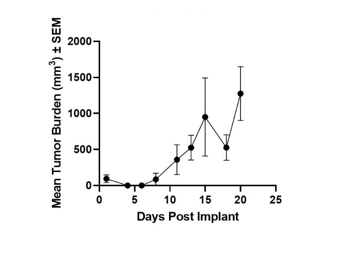 B16-F10 A Model of Mouse Melanoma